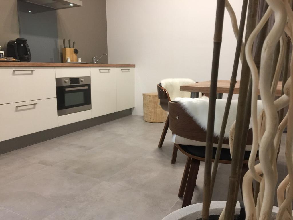 LOFT SPA - Côté château. Carcassonne Ngoại thất bức ảnh
