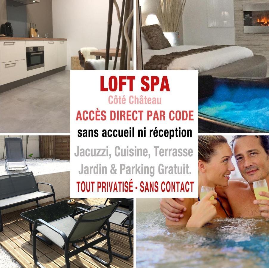 LOFT SPA - Côté château. Carcassonne Ngoại thất bức ảnh